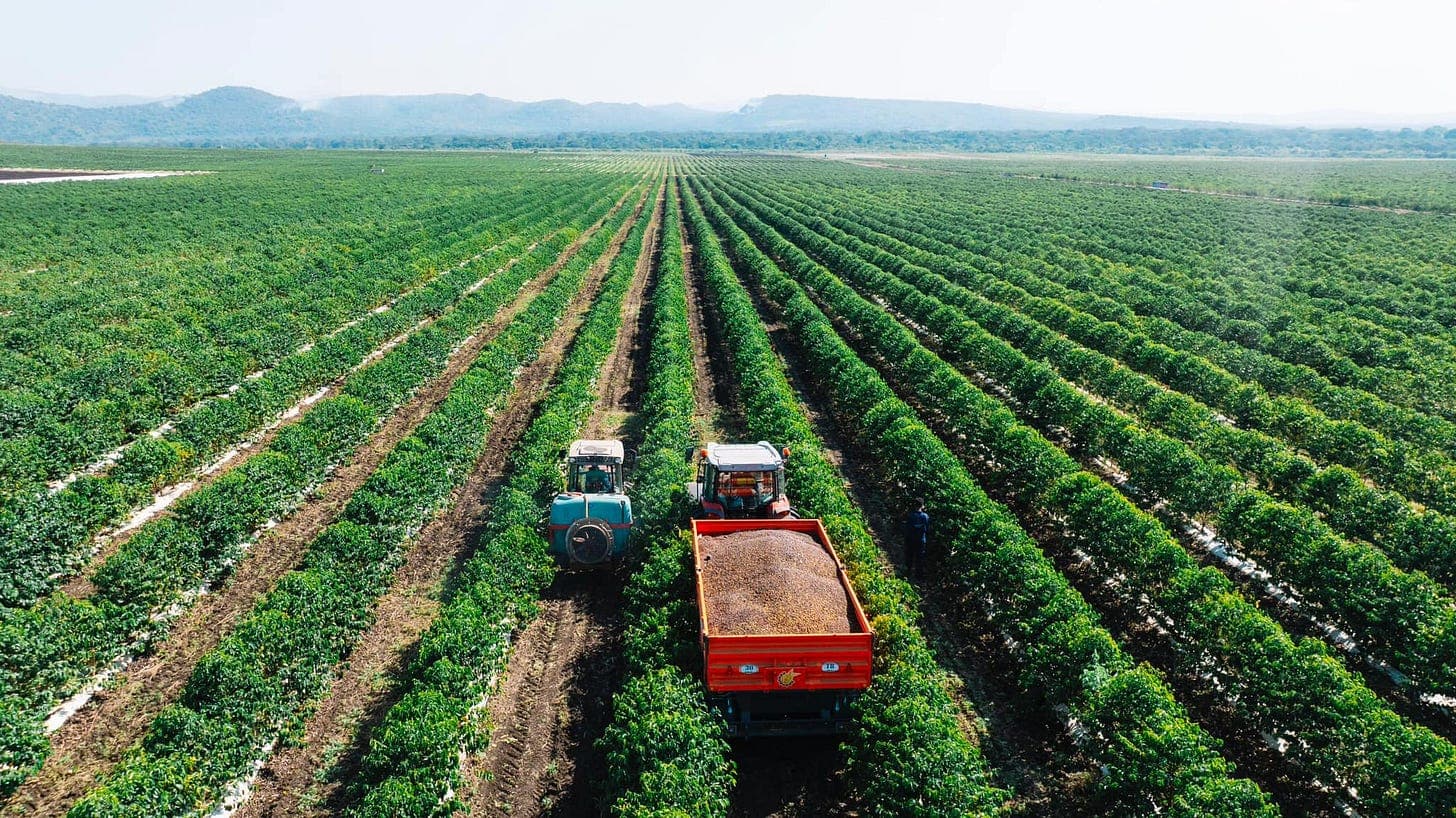 Agriculture & Plantation